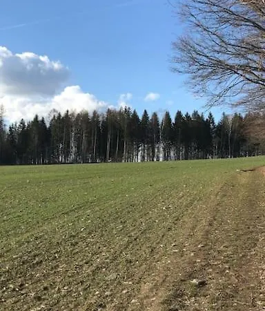 Ferienwohnung Im Grunen Stadtteil Apartment Chemnitz